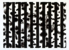 In Kind, 1991, ink on paper, 18
