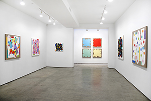 Installation View: Richard Kalina: Panamax, Lennon, Weinberg Gallery, February 18-March 26, 2016